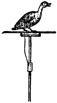article-1381_3.jpg