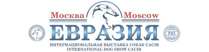1519329162_3.jpg