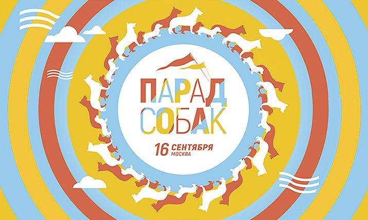 1535059158_1.jpg